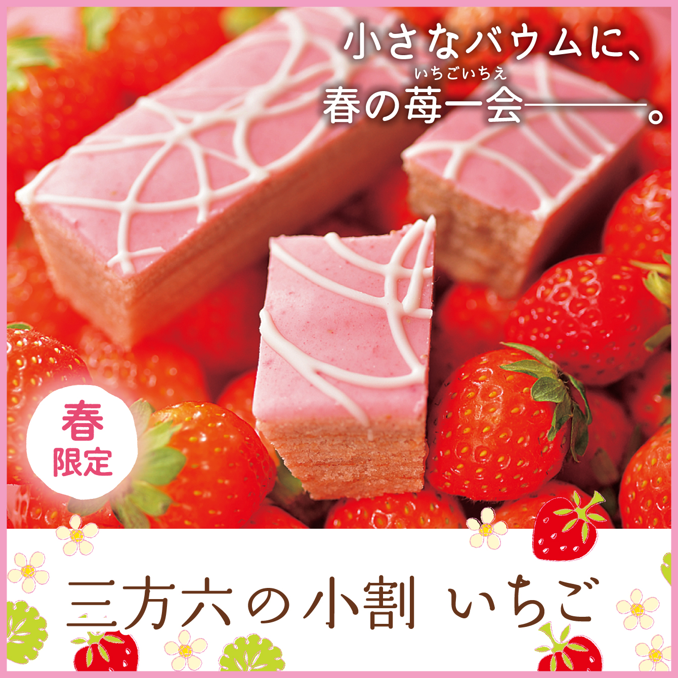 三方六の小割　いちご　5本入